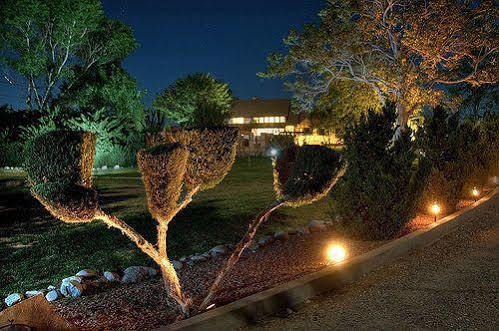 Desert Rose Bed And Breakfast Котънууд Екстериор снимка